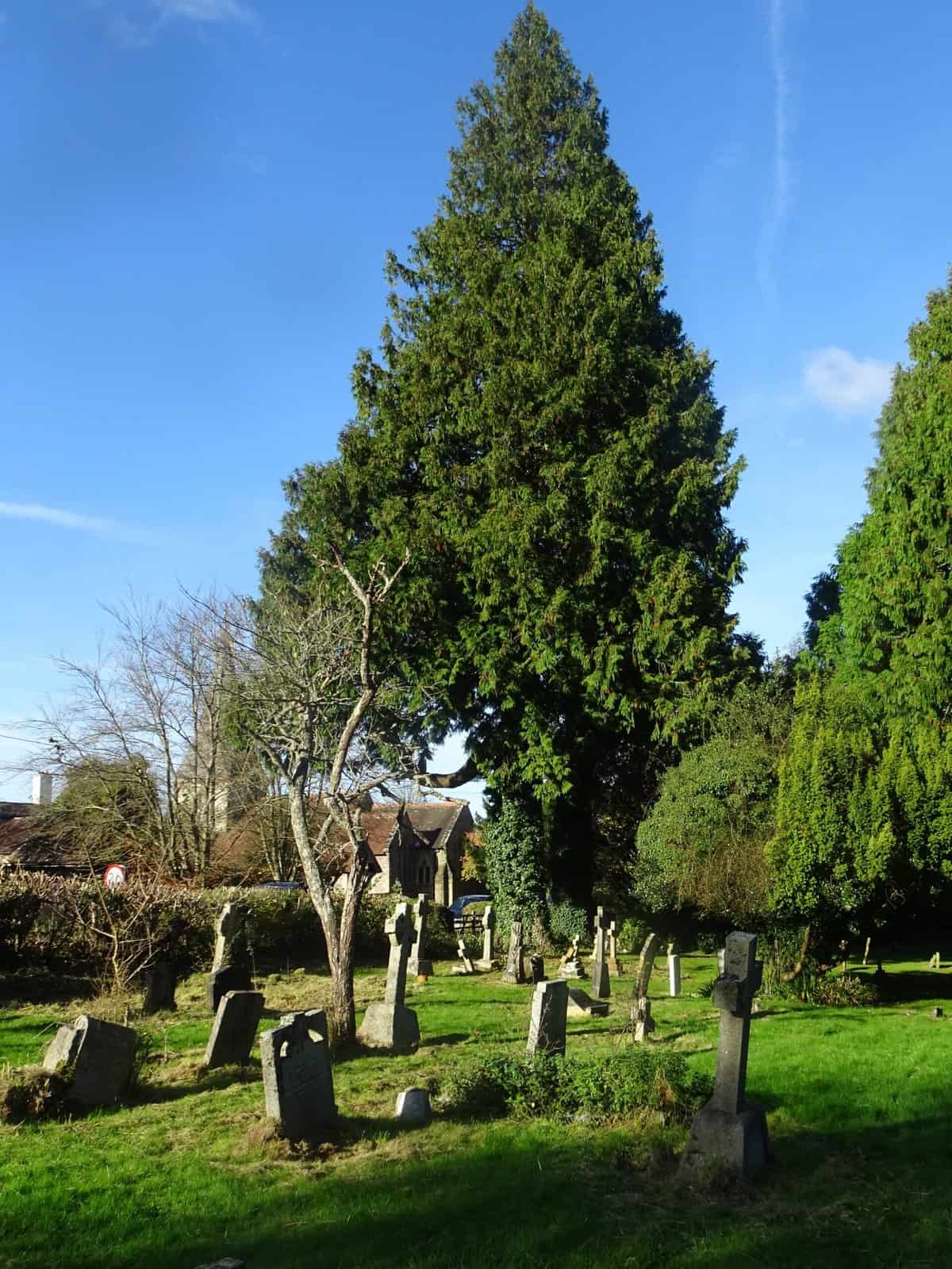 Churchyard extension at St Giles Graffham